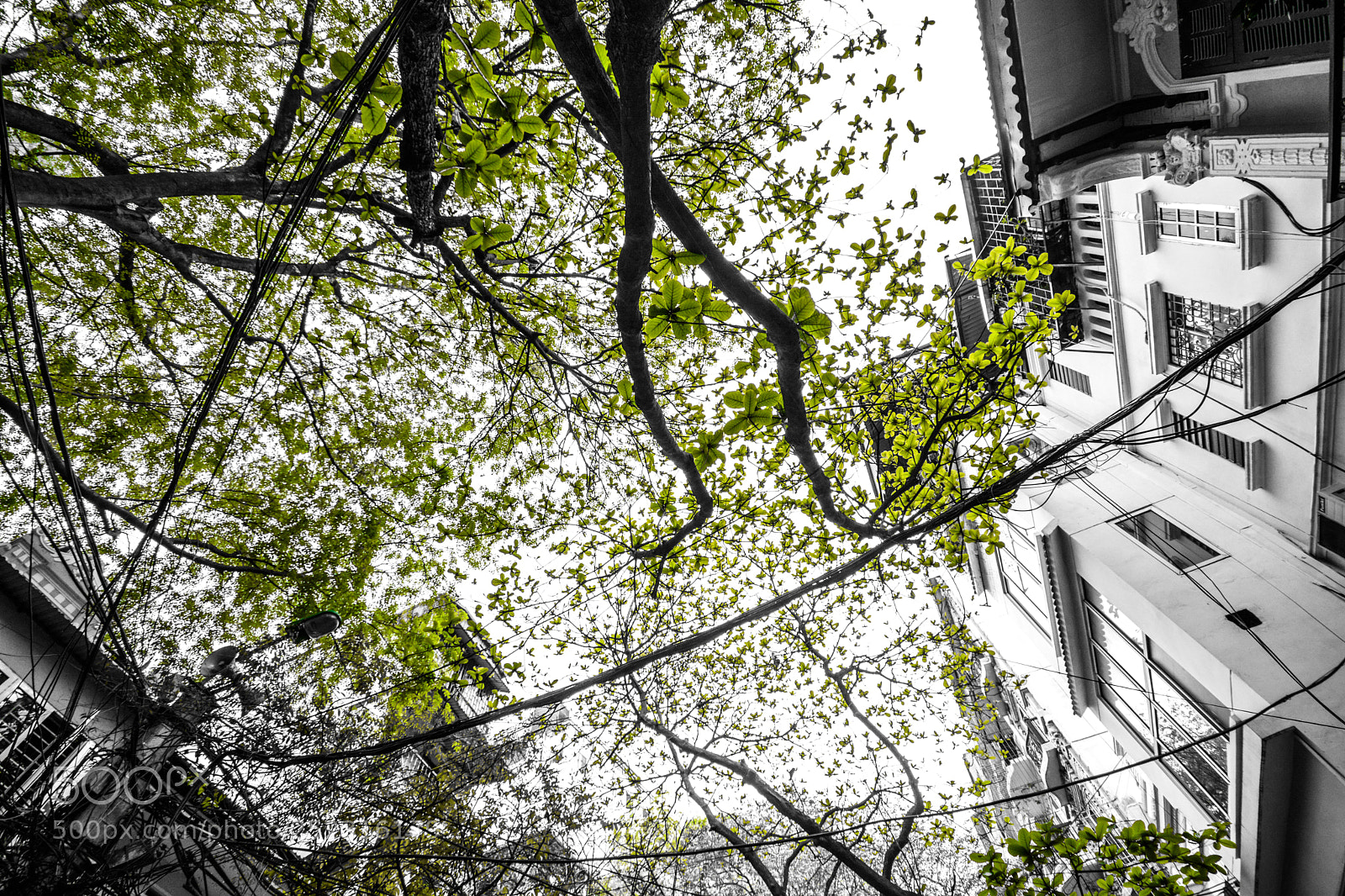 Nikon D7100 sample photo. Untitled photography