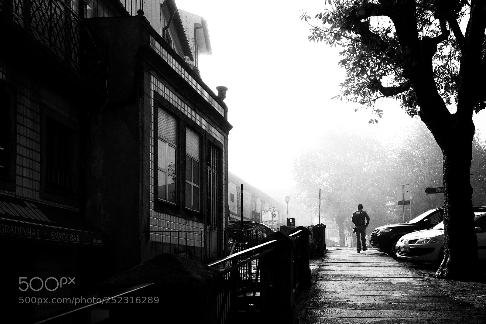 Fujifilm X-T20 sample photo. It was foggy in photography
