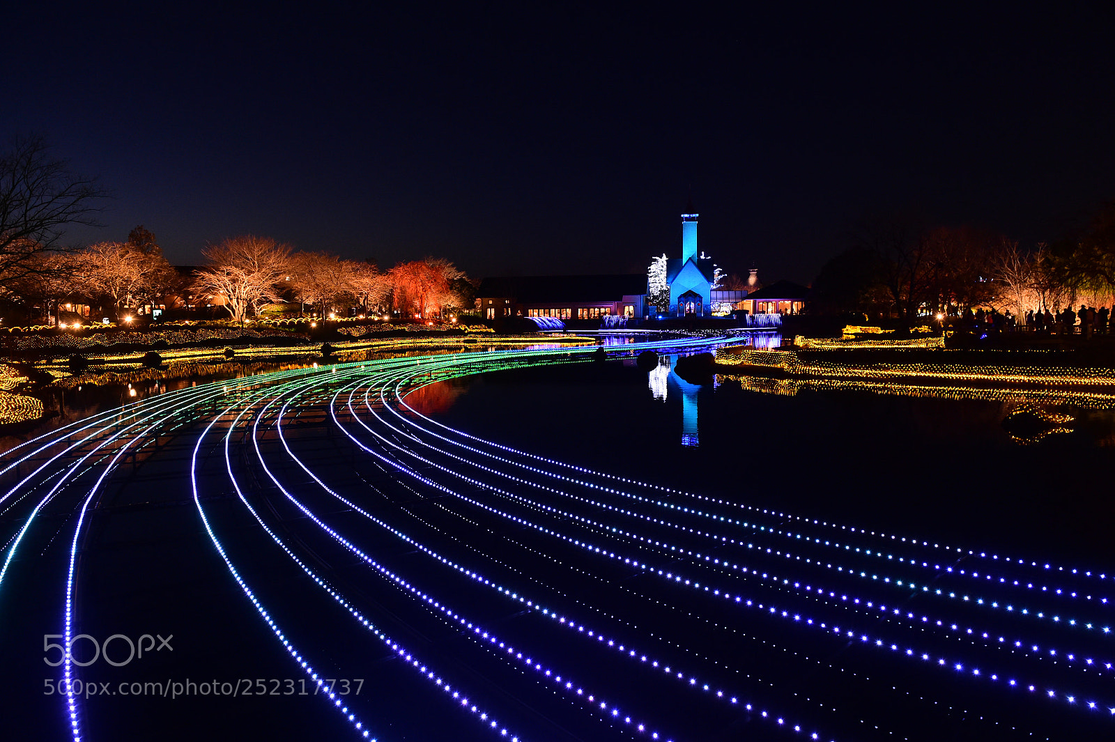 Nikon D4S sample photo. Winter night at nagashima photography