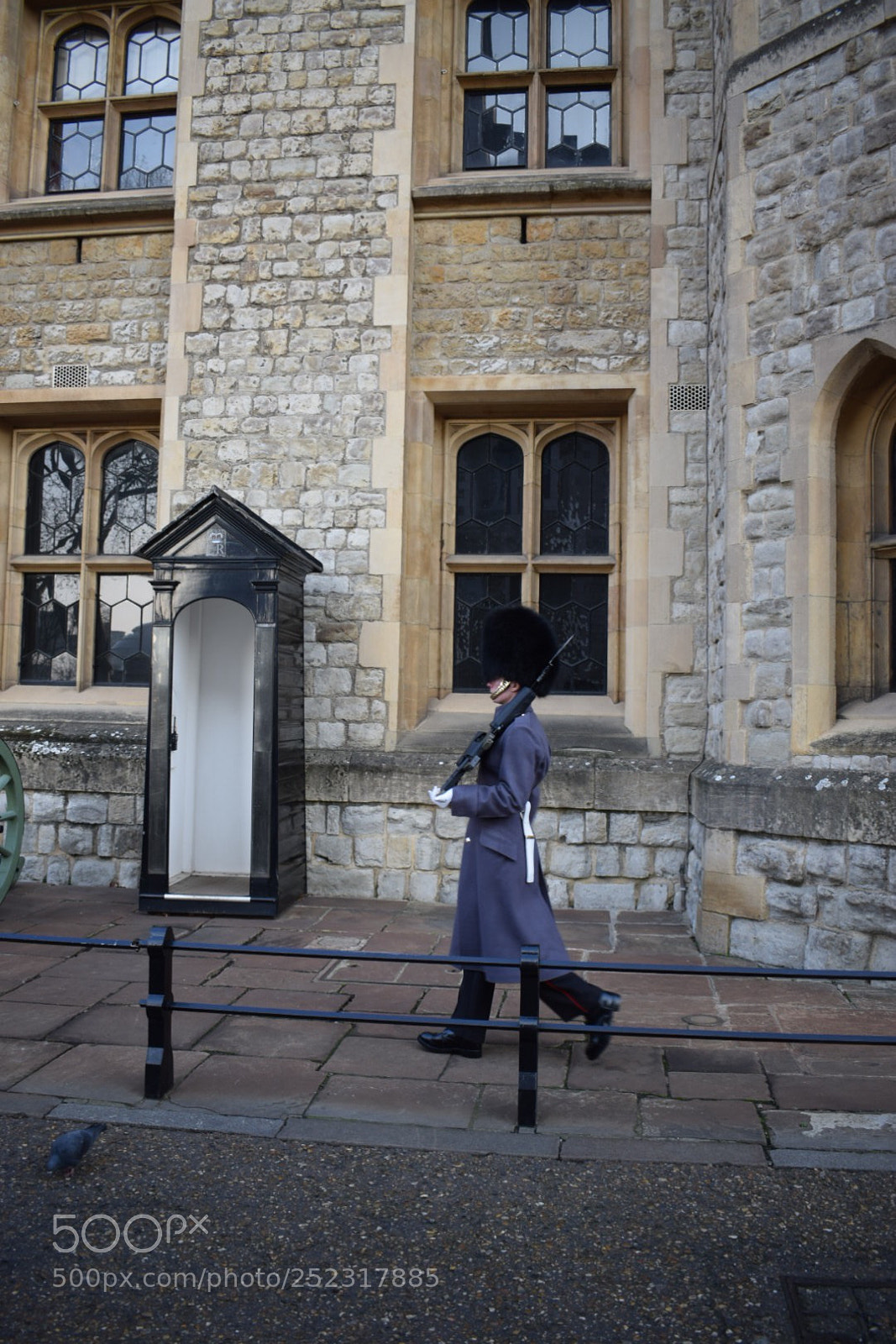 Nikon D5300 sample photo. Guard in motion photography