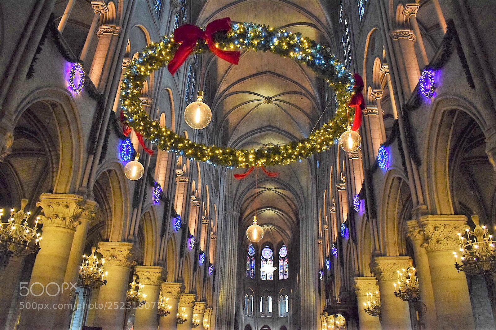 Nikon D5300 sample photo. That time of year photography