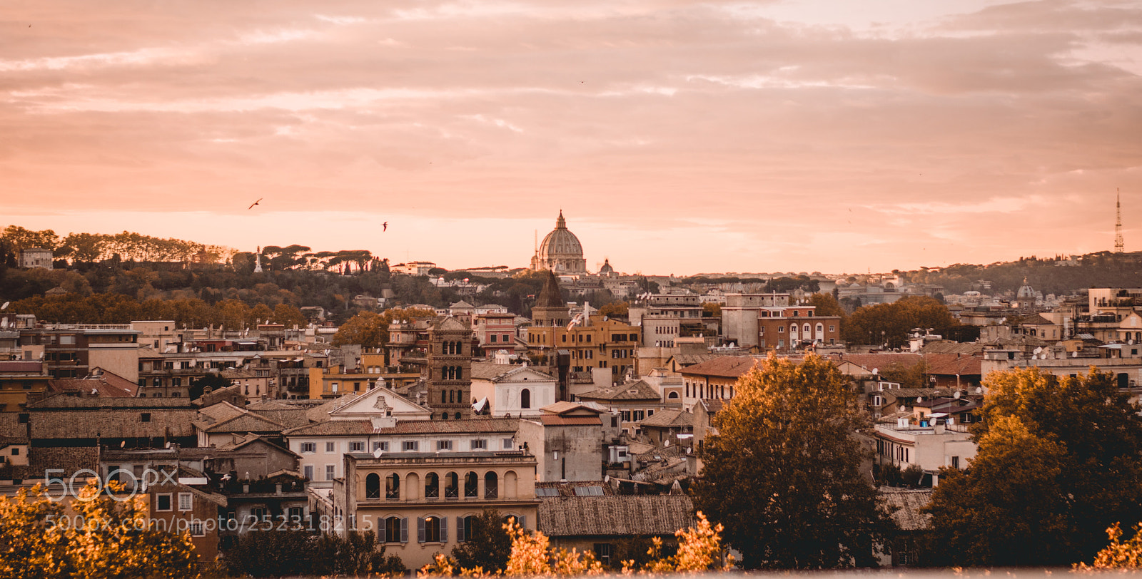 Nikon D5600 sample photo. Rome photography