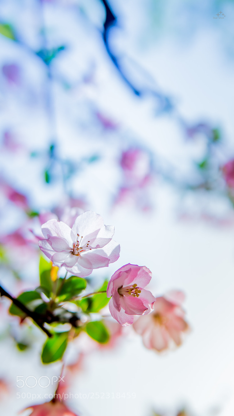 Sony a6000 sample photo. Untitled photography