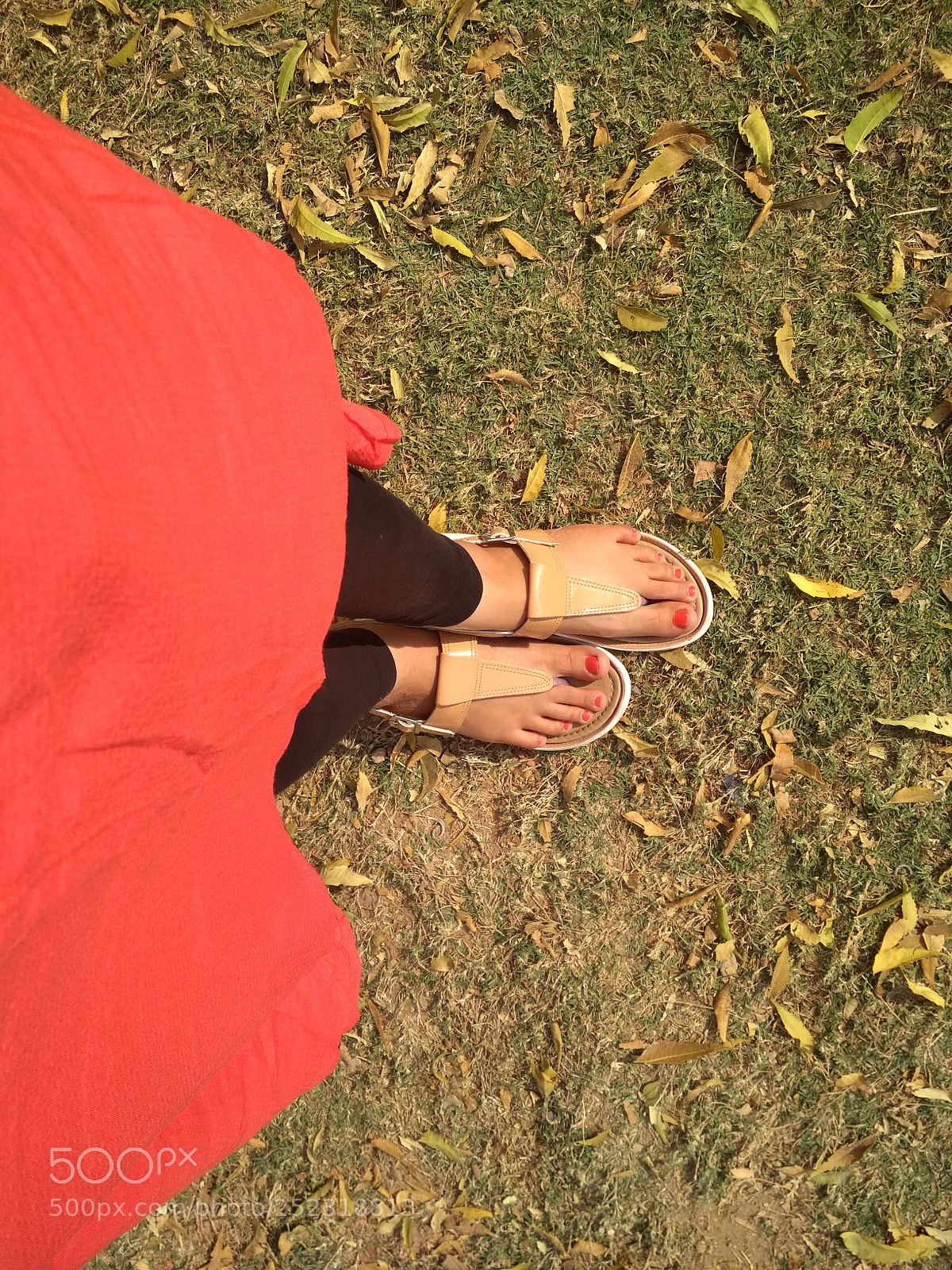 Xiaomi Redmi 4 Pro sample photo. Autumn trends photography