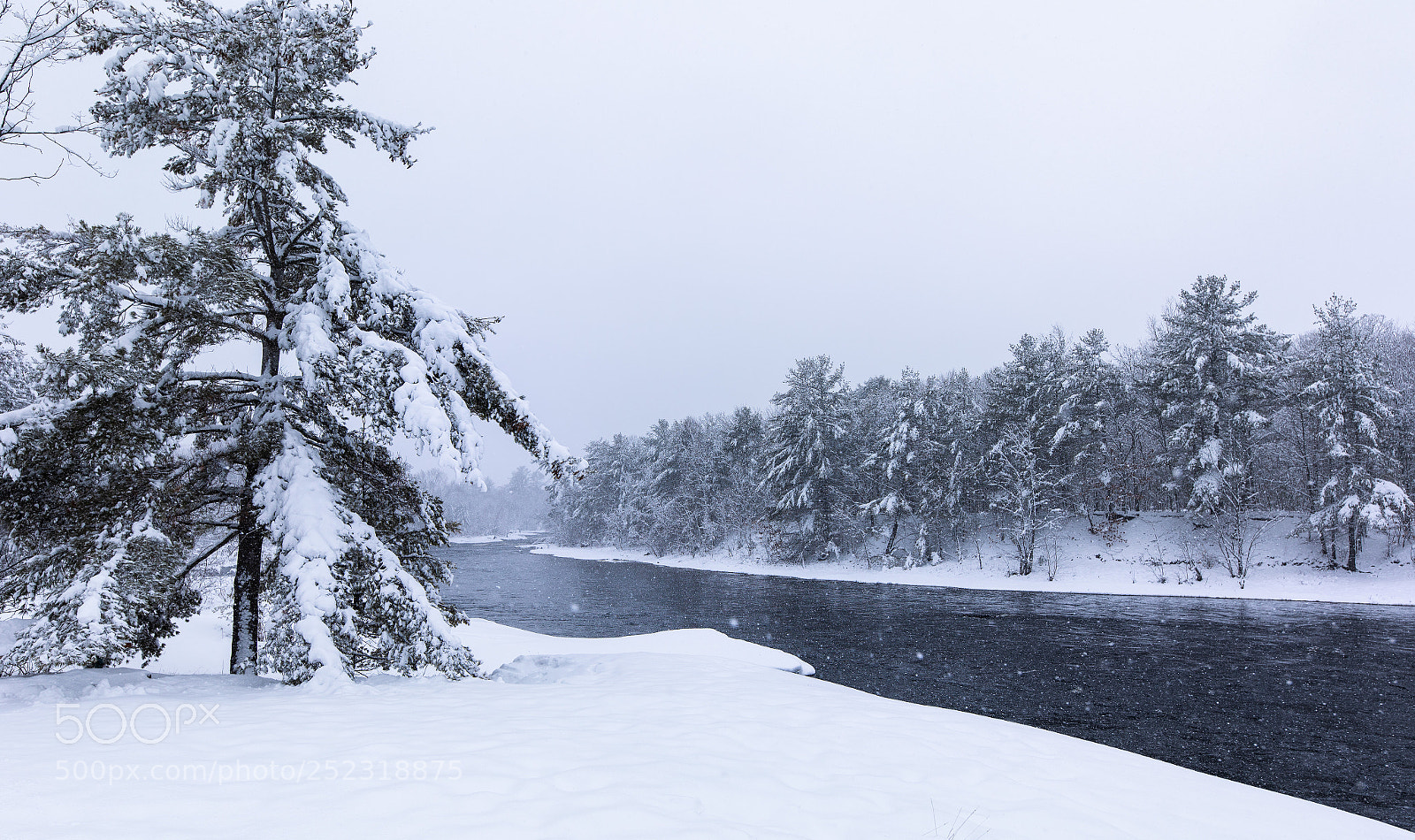 Canon EOS 5D Mark IV sample photo. Winter's back...with a vengeance photography