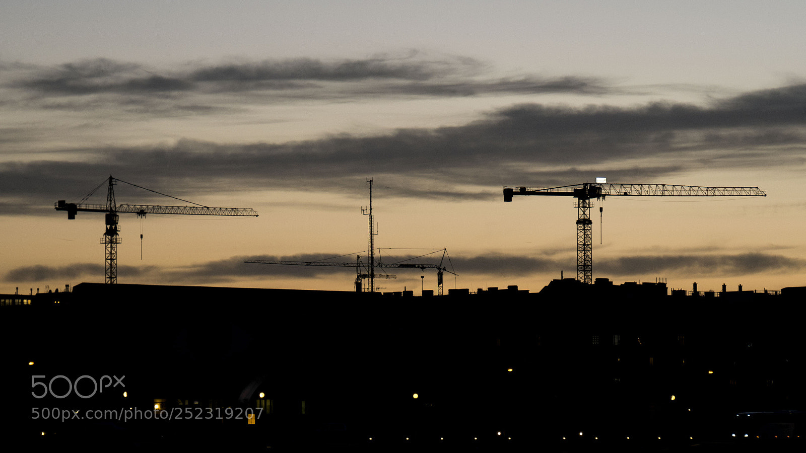 Panasonic DMC-G81 sample photo. Cranes photography