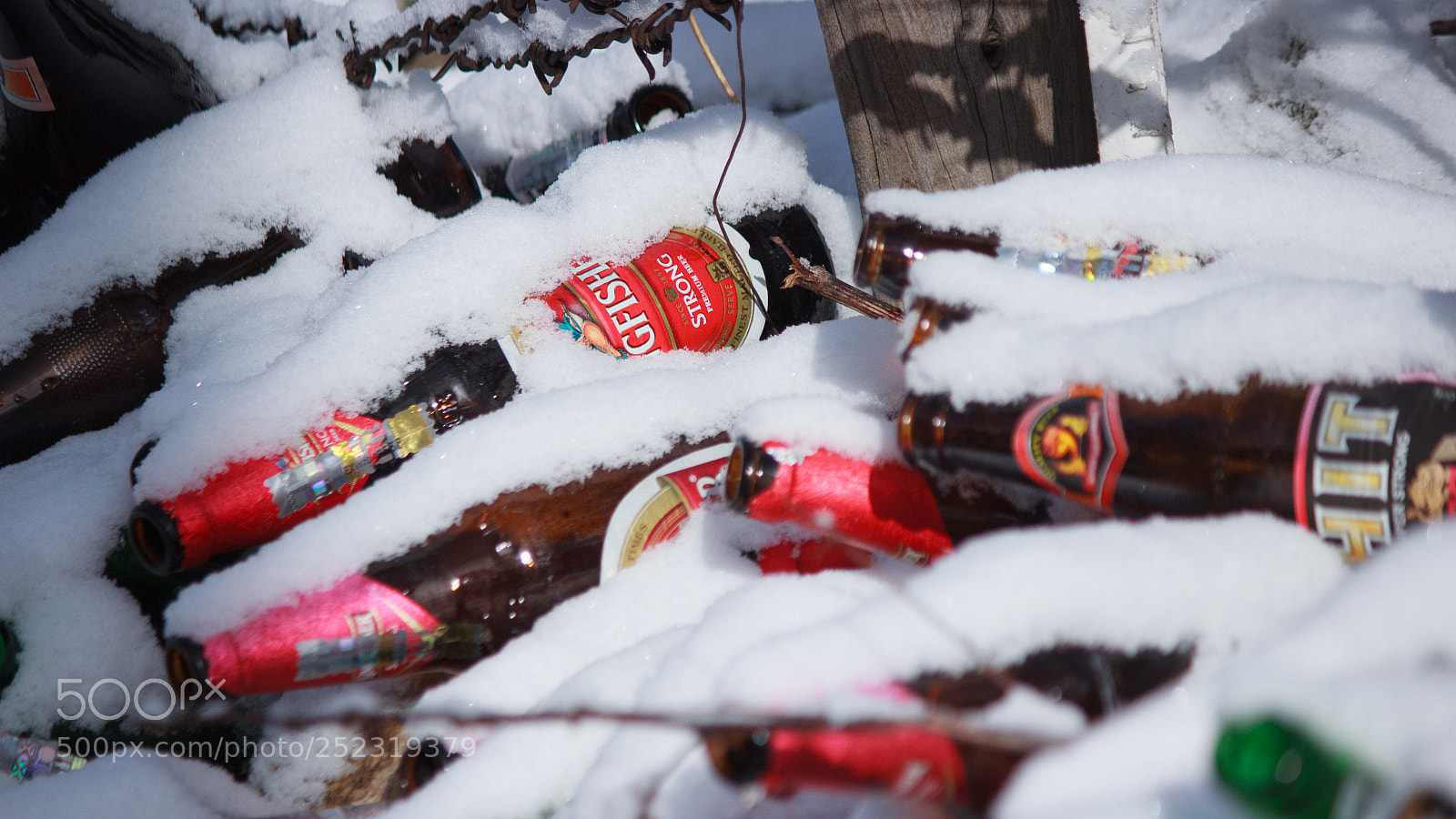 Canon EOS 600D (Rebel EOS T3i / EOS Kiss X5) sample photo. Chilled beer photography