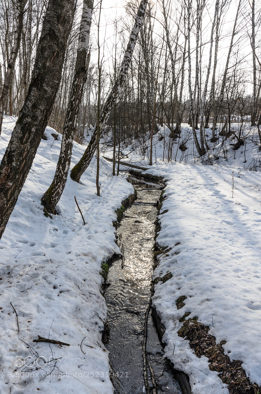 Nikon D5100 sample photo. 328 photography