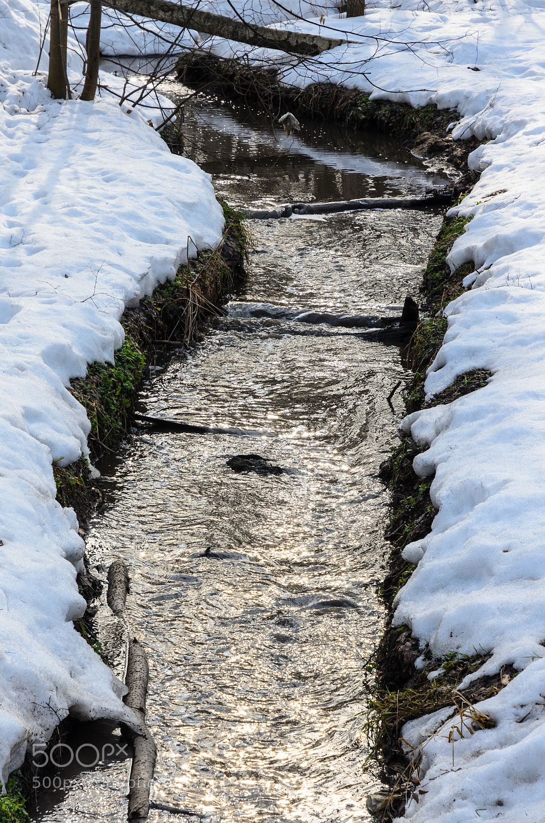 Nikon D5100 sample photo. 329 photography