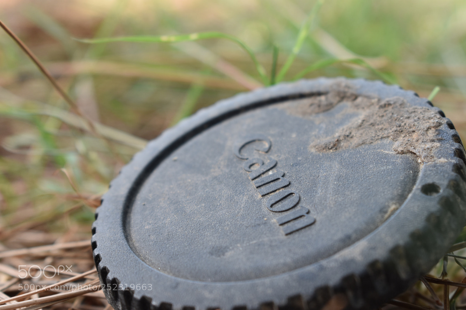 Nikon D3400 sample photo. Canon cap photography