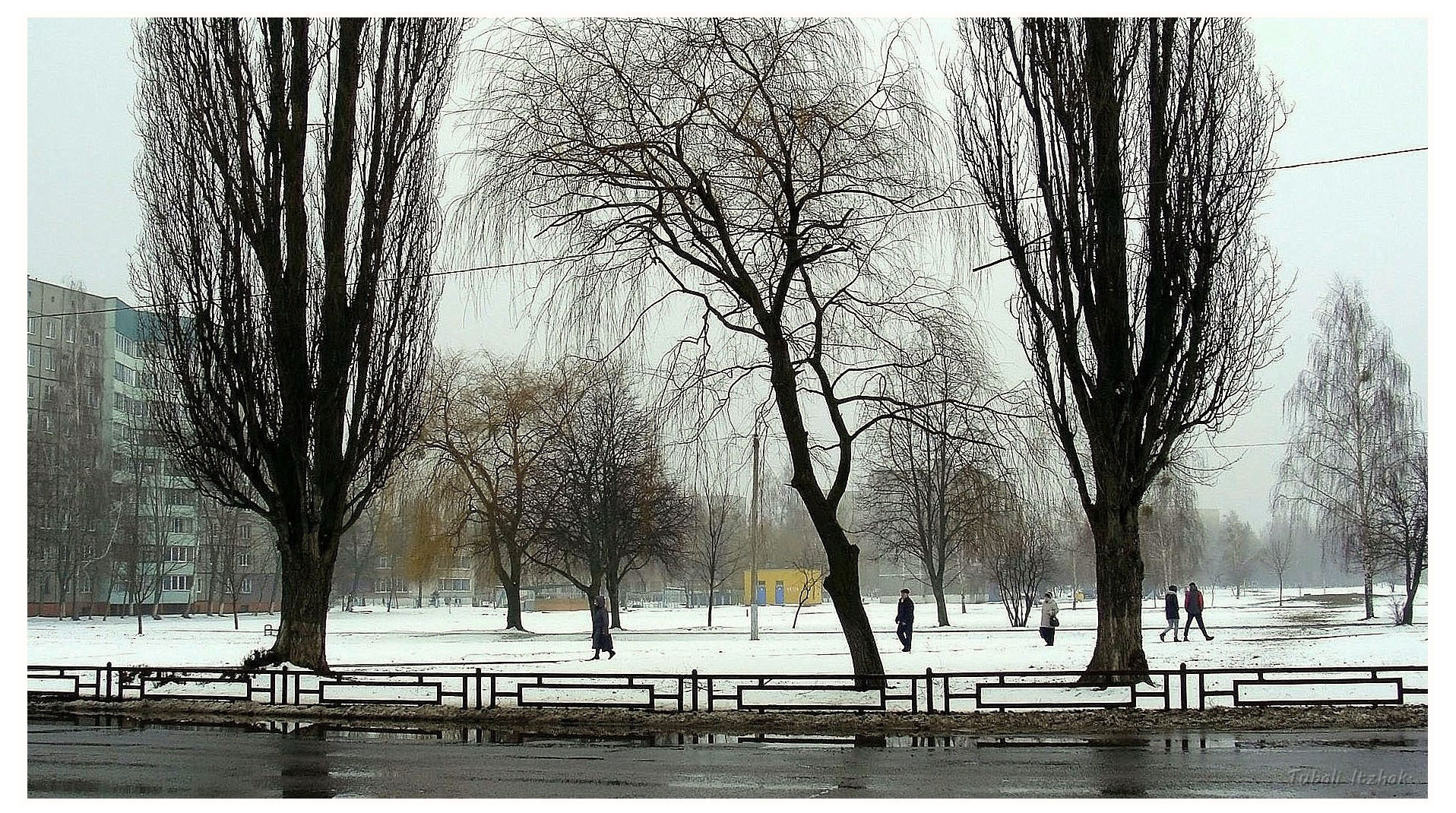 Sony Cyber-shot DSC-H10 sample photo. Foggy morning...rechytsa...belarus...april...2018. photography