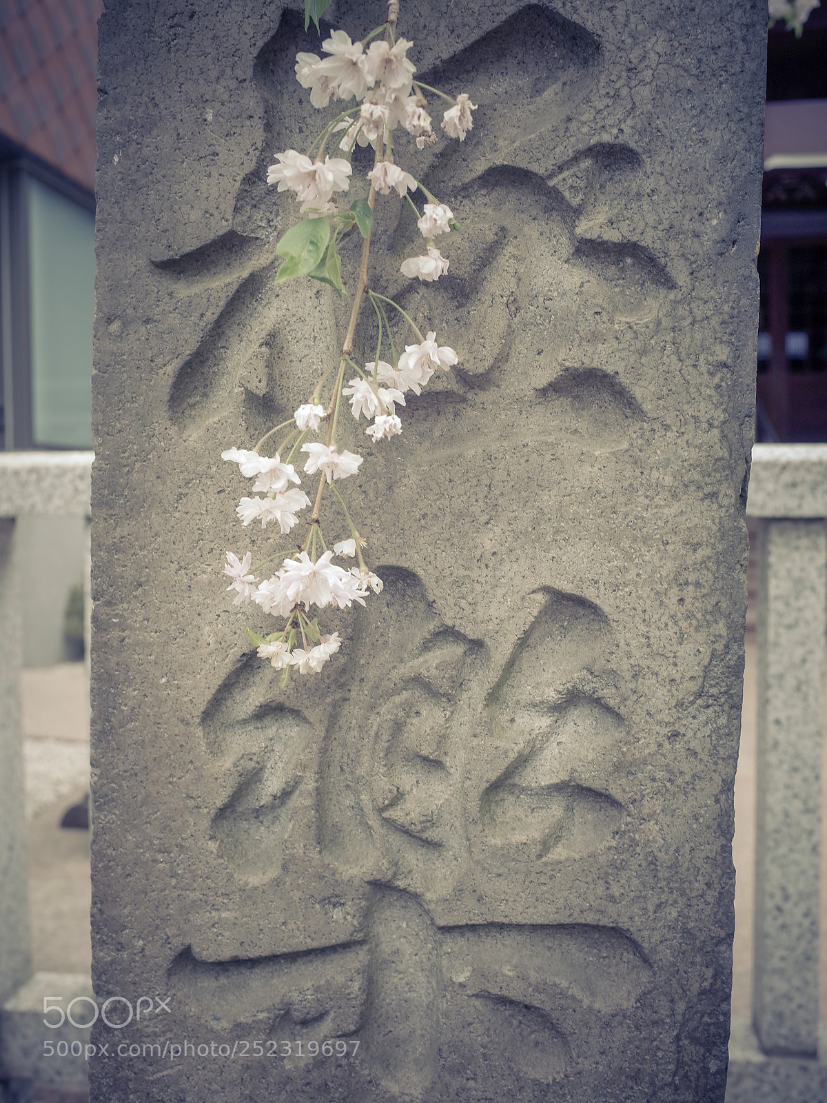 Ricoh GR II sample photo. Untitled photography