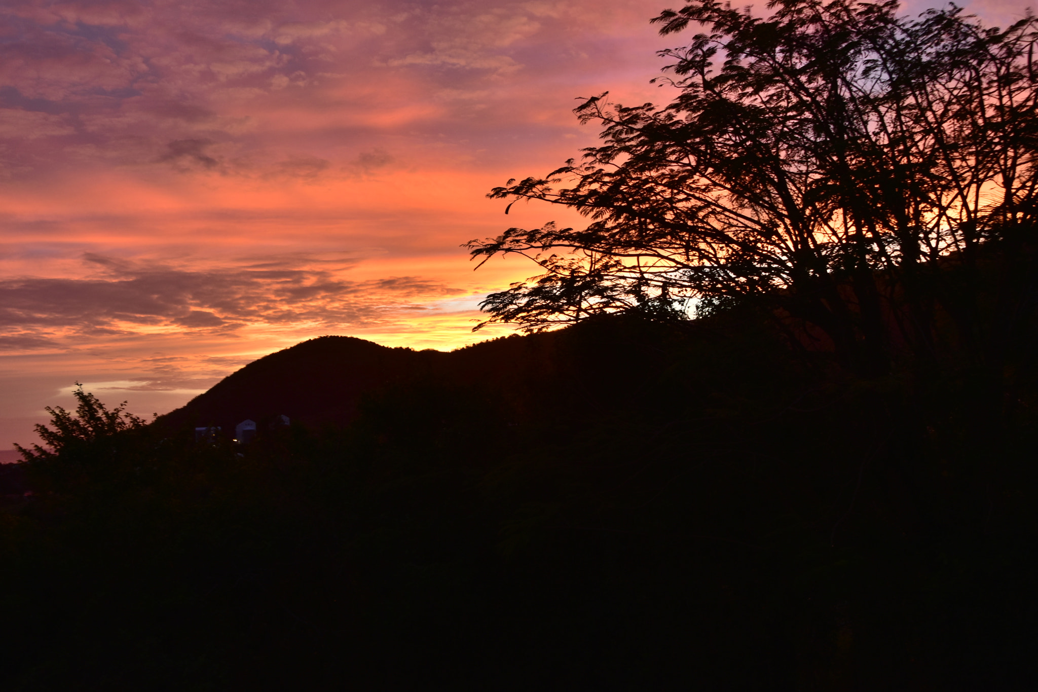 Nikon D3400 sample photo
