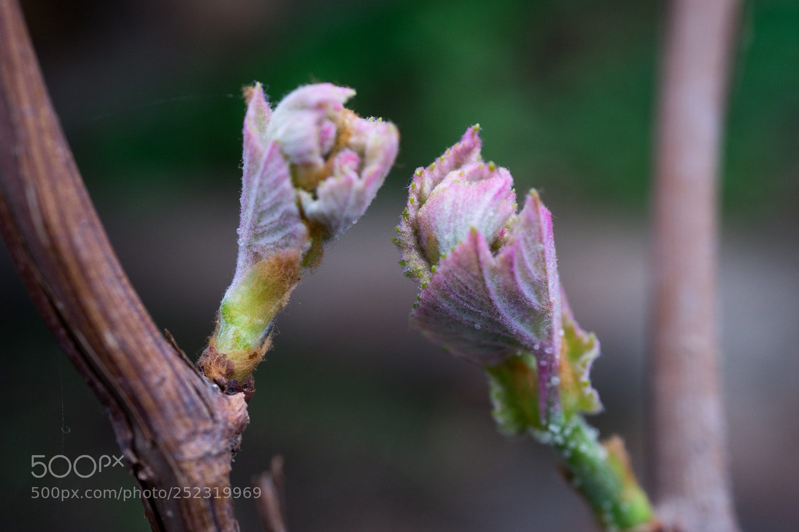 Sony a7 sample photo. Hope #2 photography