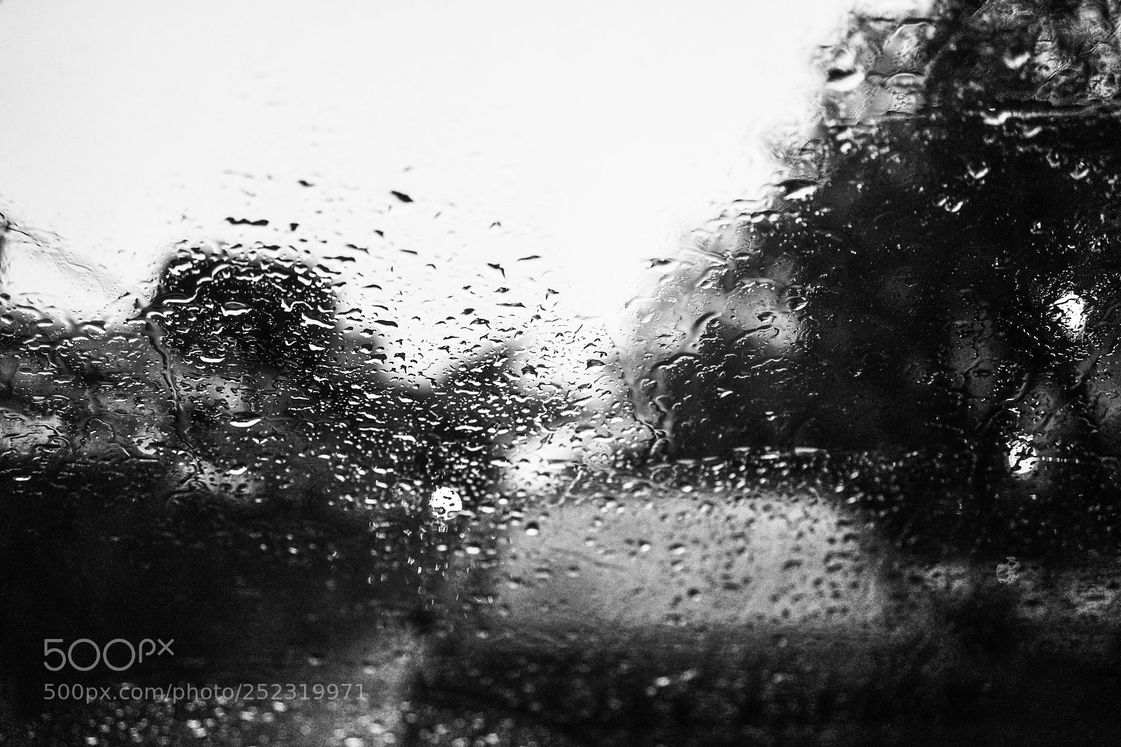 Sony a7 II sample photo. Untitled photography