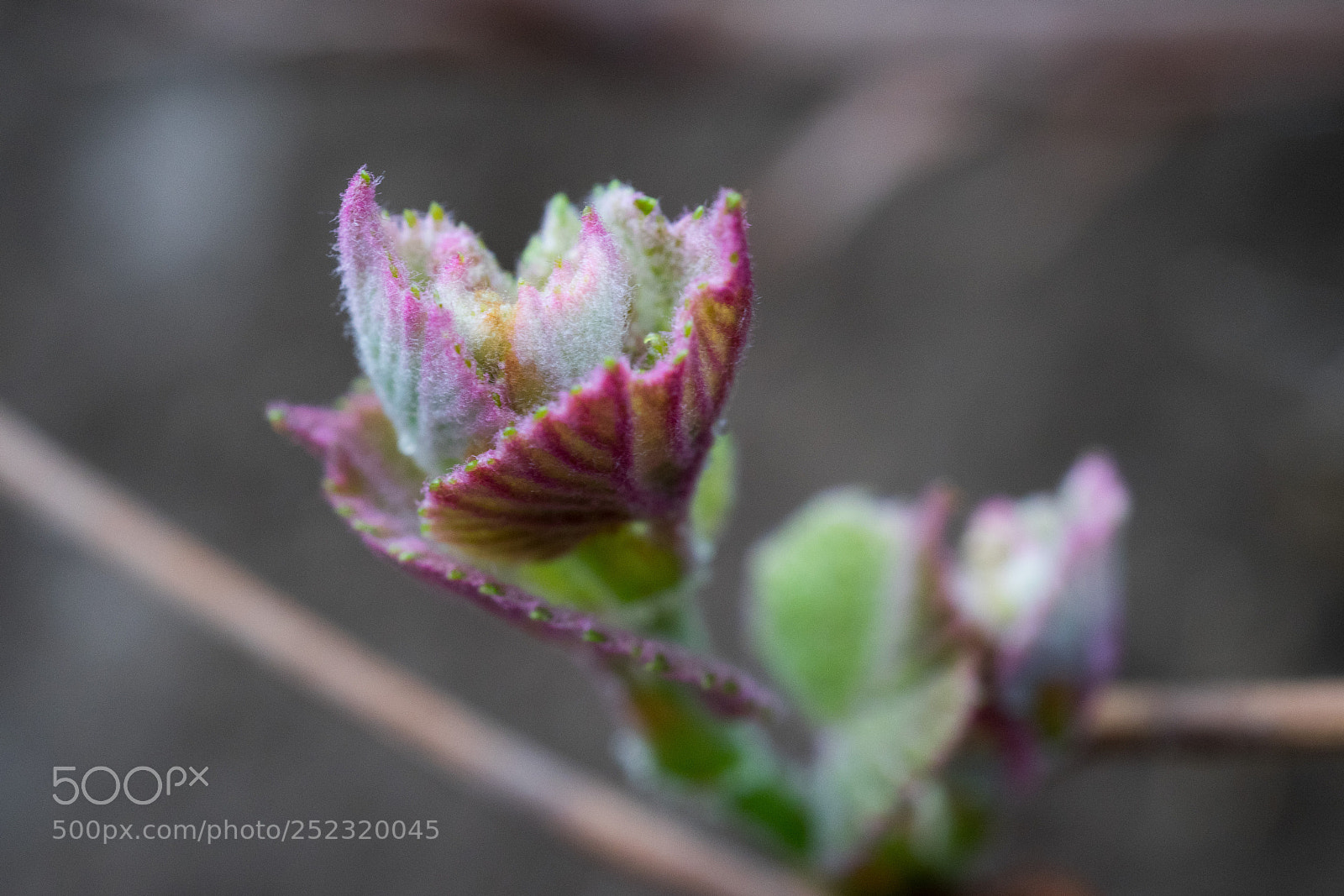 Sony a7 sample photo. Hope #3 photography