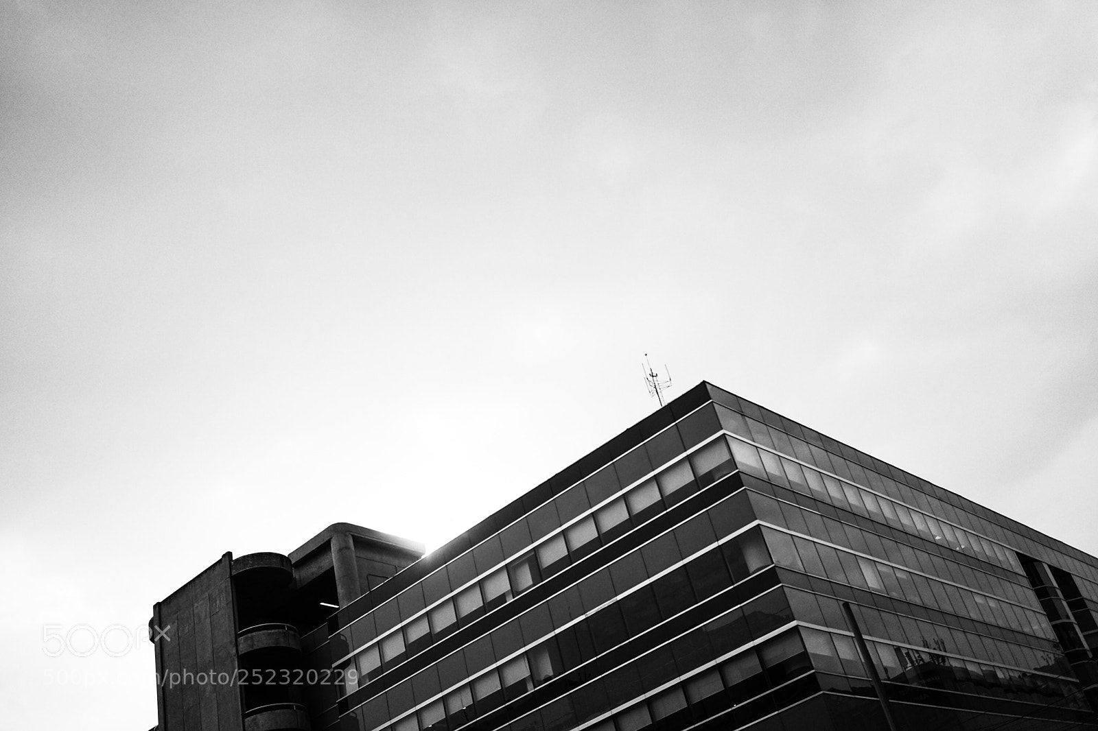 Sony a7 II sample photo. Untitled photography