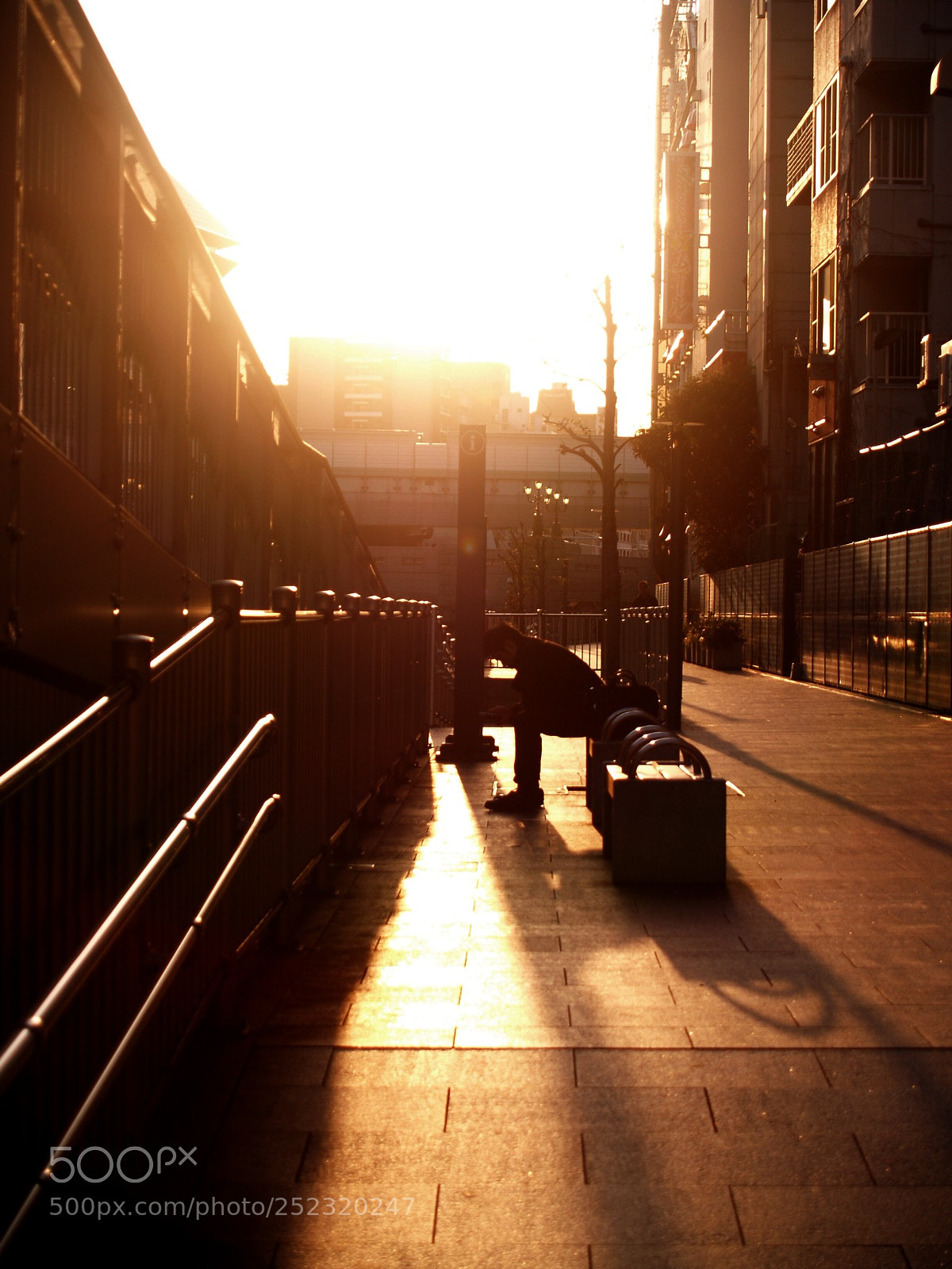 Olympus E-300 (EVOLT E-300) sample photo. Man in the sunset photography