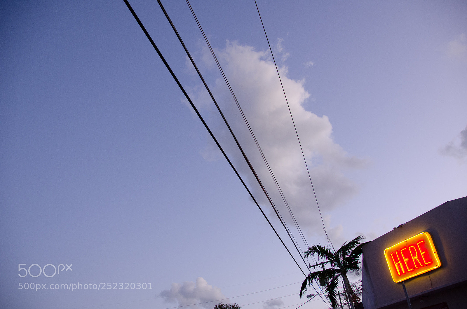 Nikon D7000 sample photo. Here photography