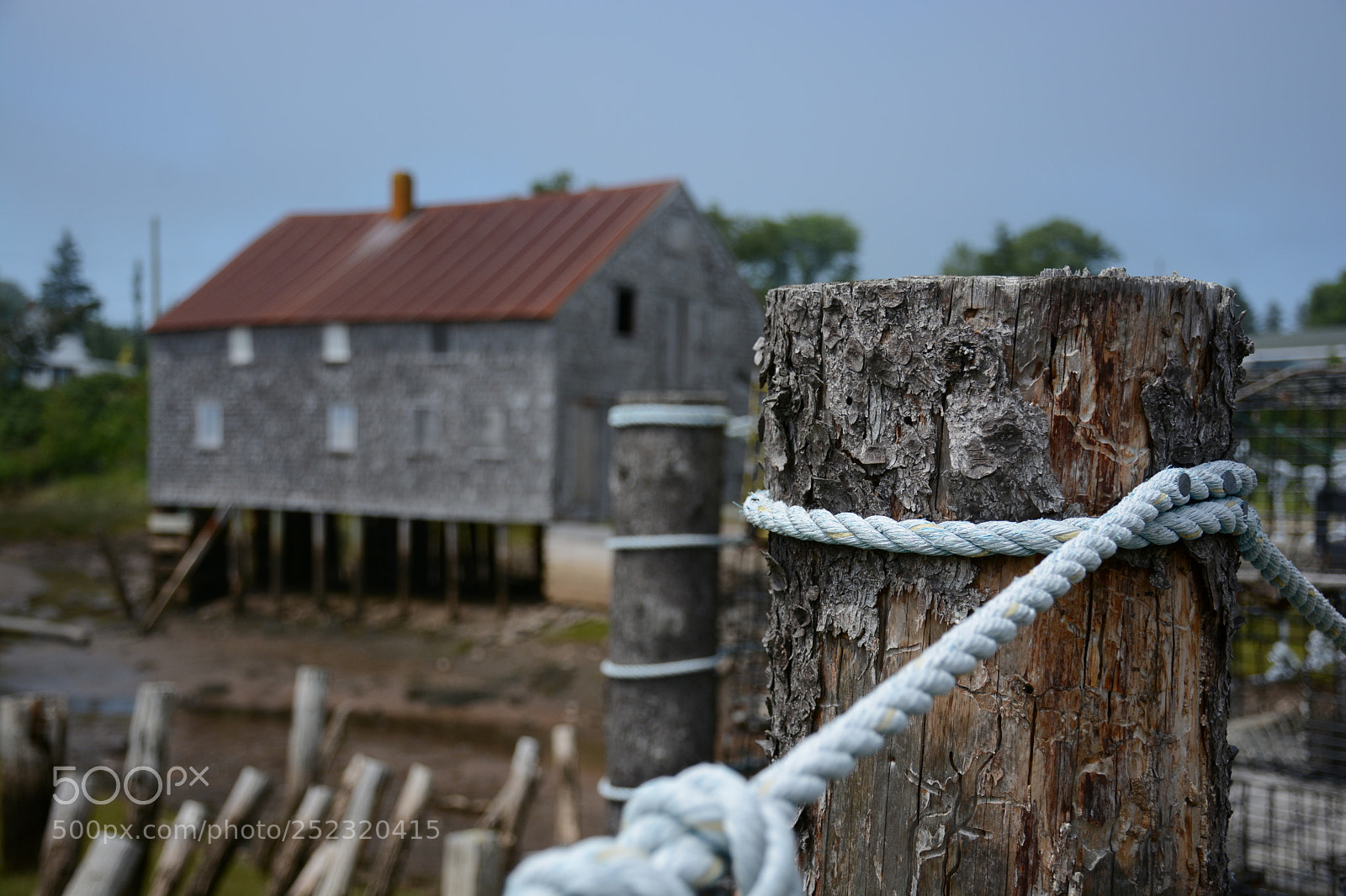 Nikon D7100 sample photo. Drydock photography