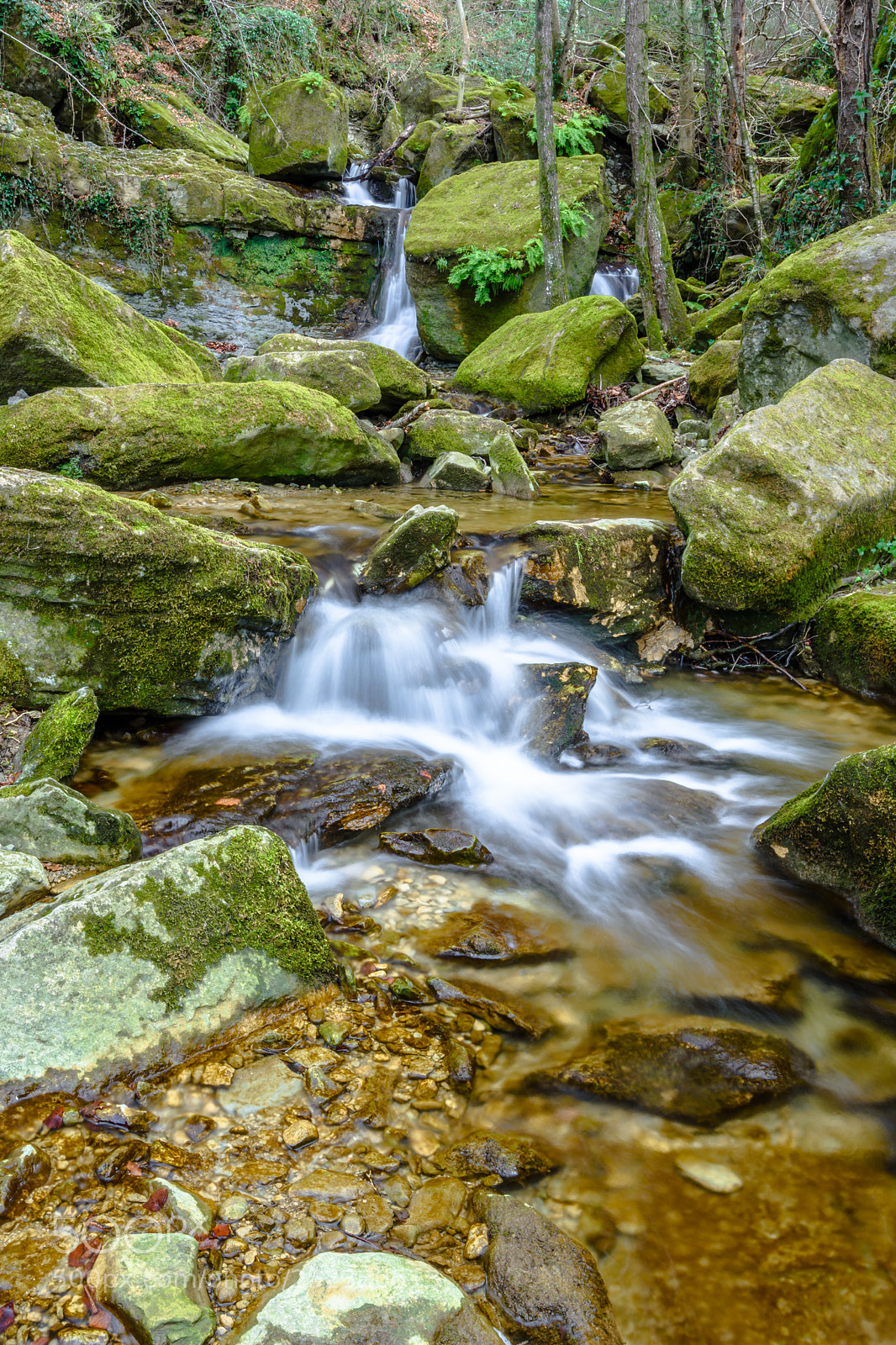 Nikon D7200 sample photo. Racons amagats photography
