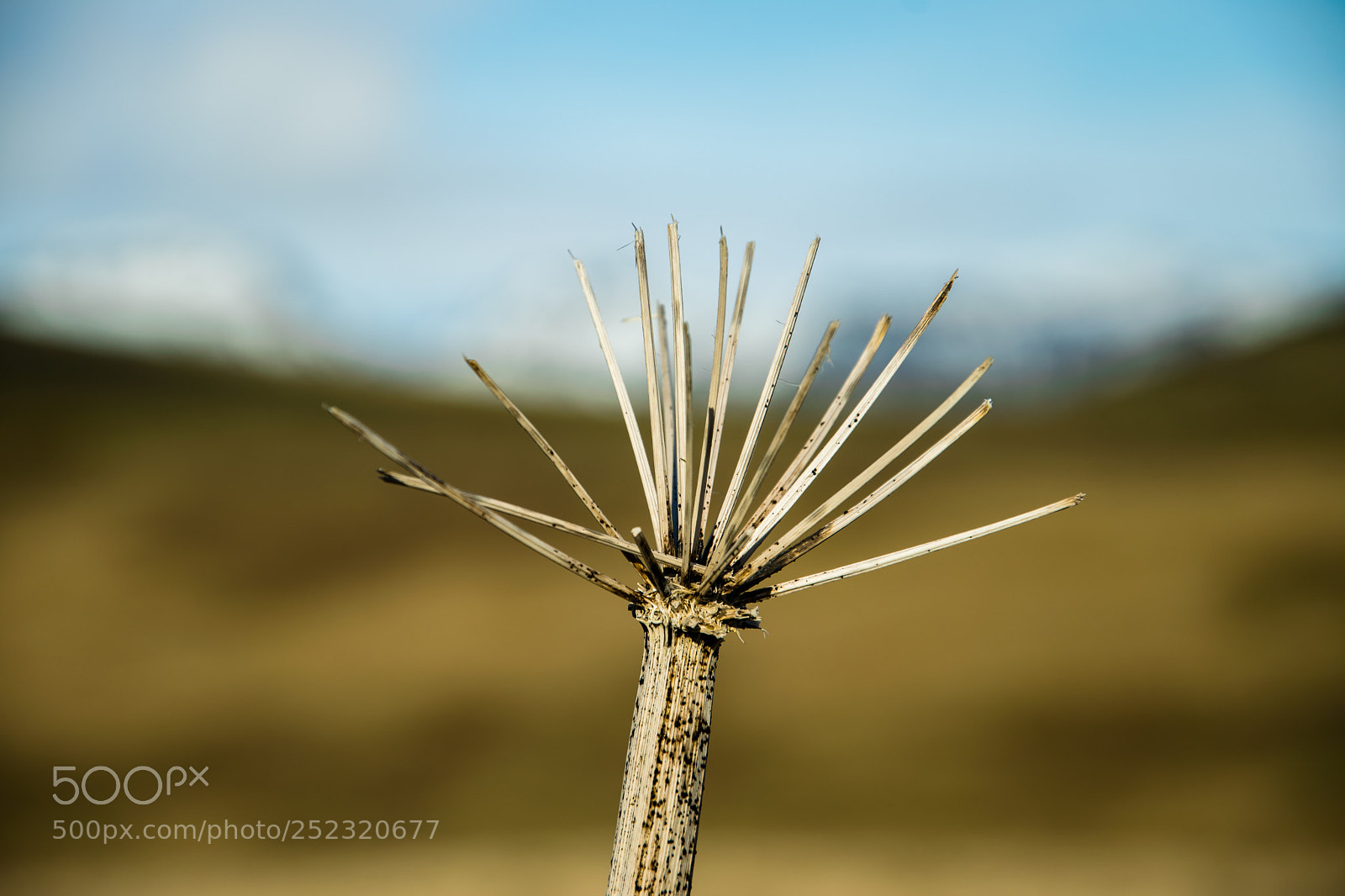 Nikon D3300 sample photo. Iceland photography