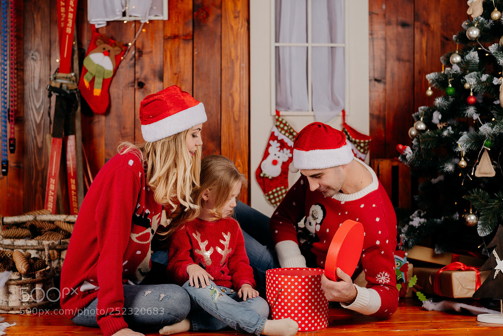 Nikon D610 sample photo. Christmas time photography