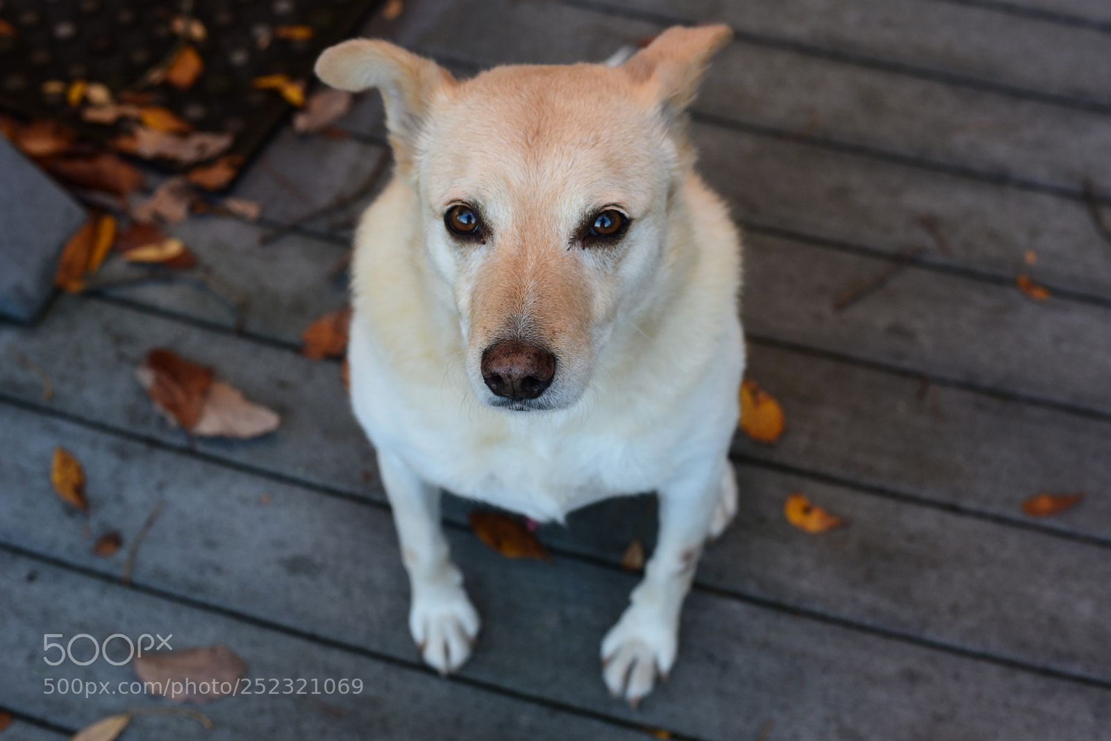 Nikon D750 + Nikon AF-S Nikkor 50mm F1.8G sample photo. Sandy photography