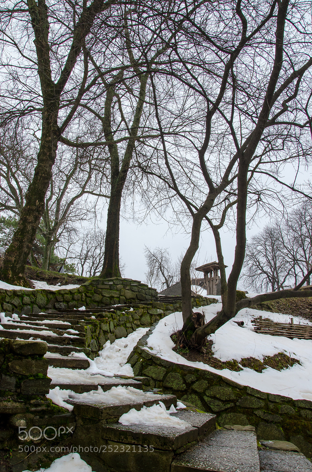 Nikon D7000 sample photo. White mood photography
