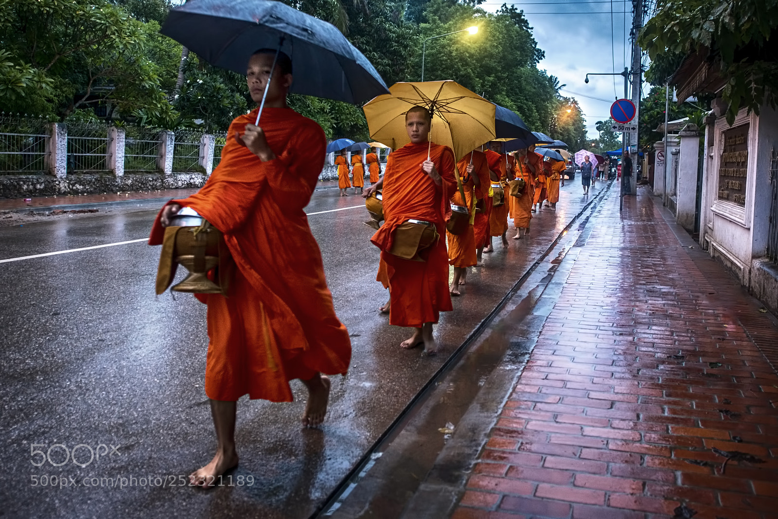 Nikon D800 sample photo. Morning alms / laos photography