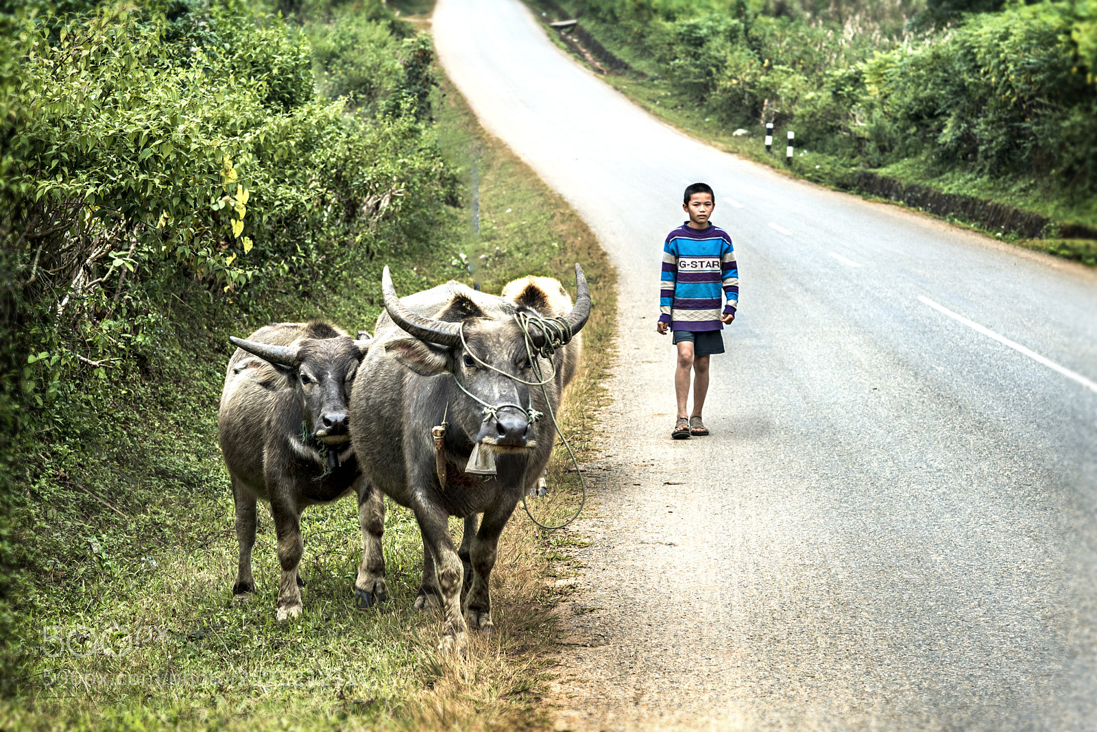 Nikon D800 sample photo. On the road 2 / laos photography