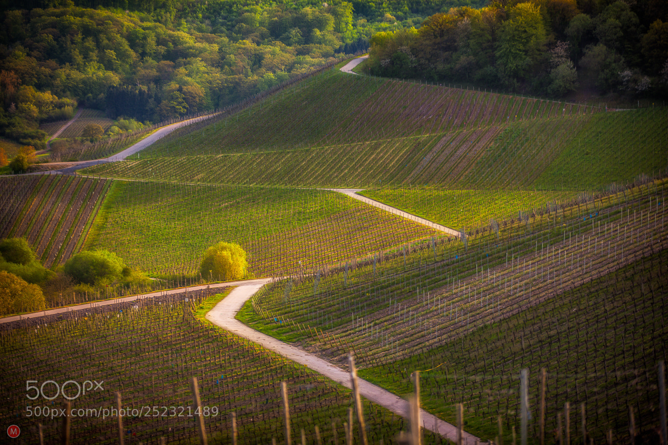 Canon EOS 5D Mark II sample photo. Luxembourg fields photography