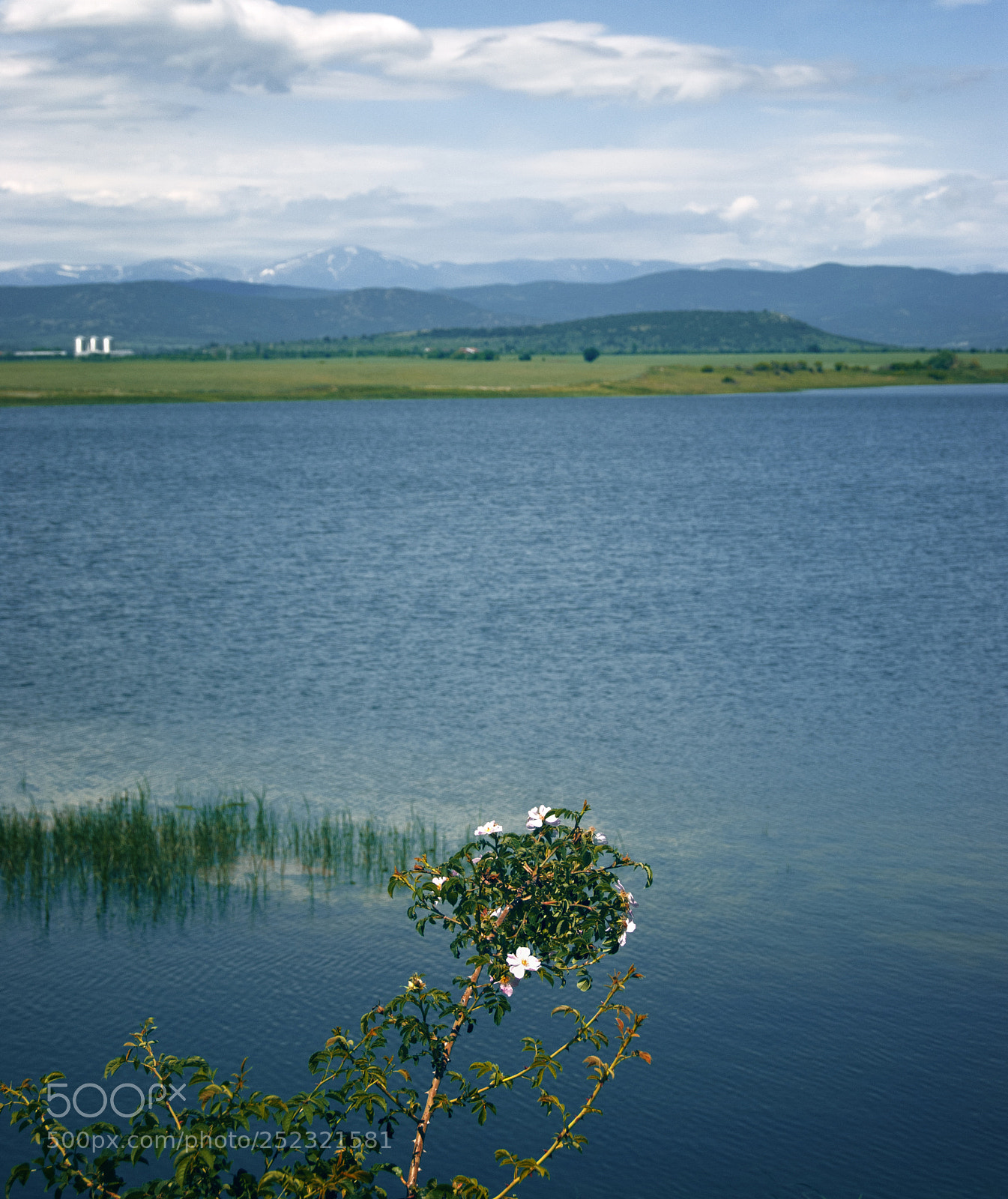 Nikon D80 sample photo. Calm waters photography