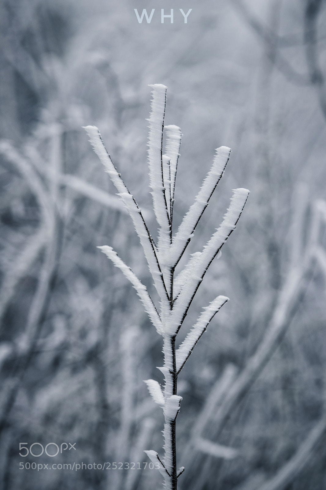Canon EOS 80D sample photo. Spring ice photography