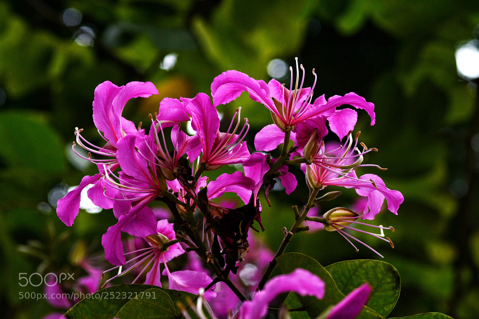 Nikon D7100 sample photo. Untitled photography