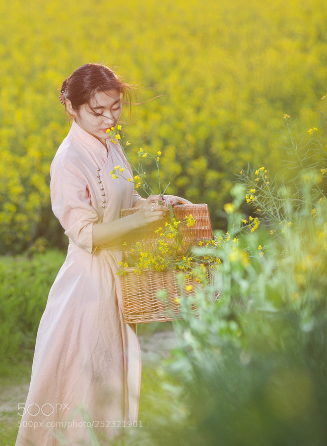 Canon EOS 5D Mark II sample photo. The golden rape photography