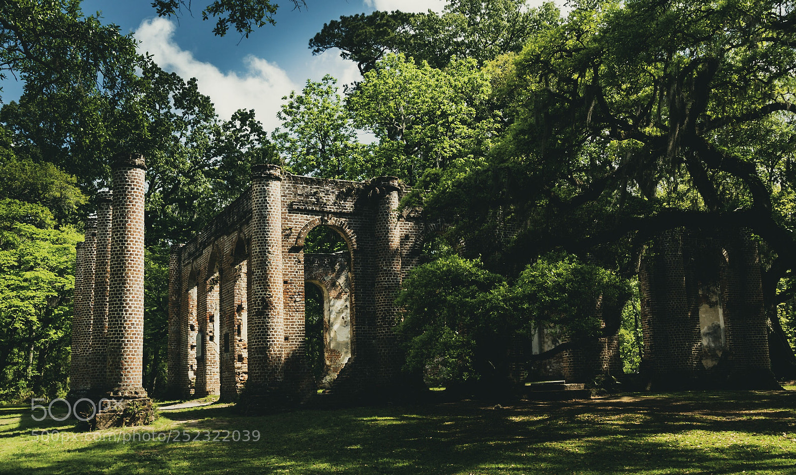 Nikon D5500 sample photo. Old shelton church ruins photography