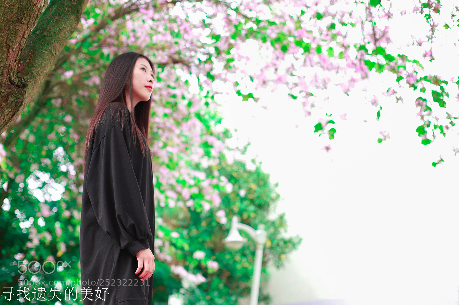 Canon EOS 6D Mark II sample photo. Untitled photography