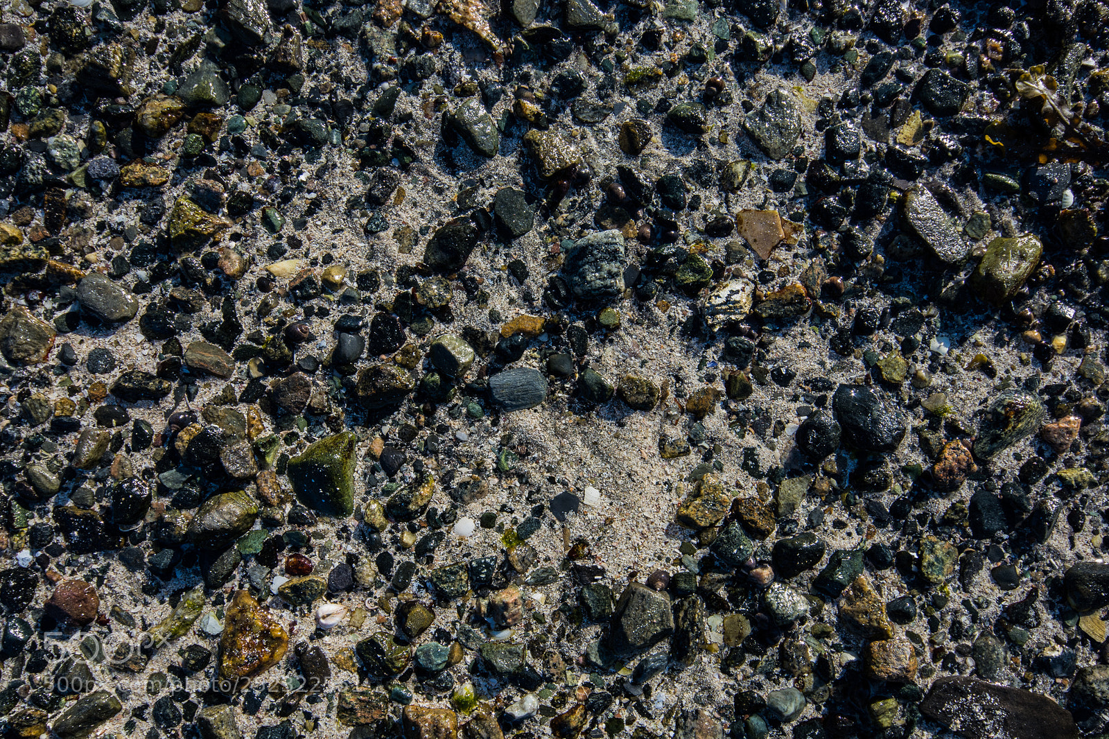 Nikon D7100 sample photo. Day 743 photography