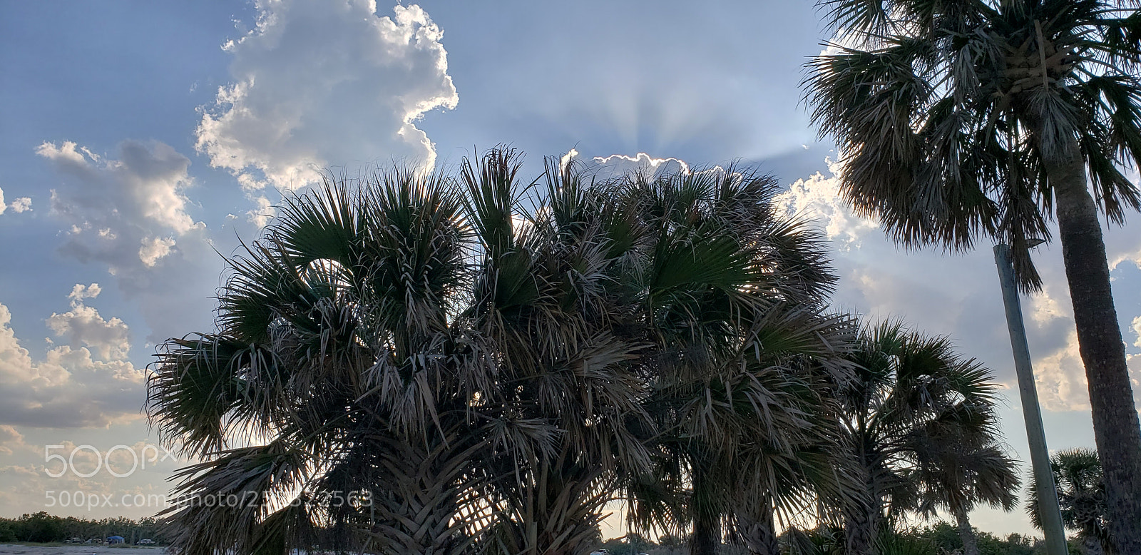 Samsung Galaxy S9+ sample photo. Beautiful photography