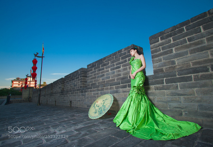 Canon EOS 5D Mark II sample photo. The city wall photography