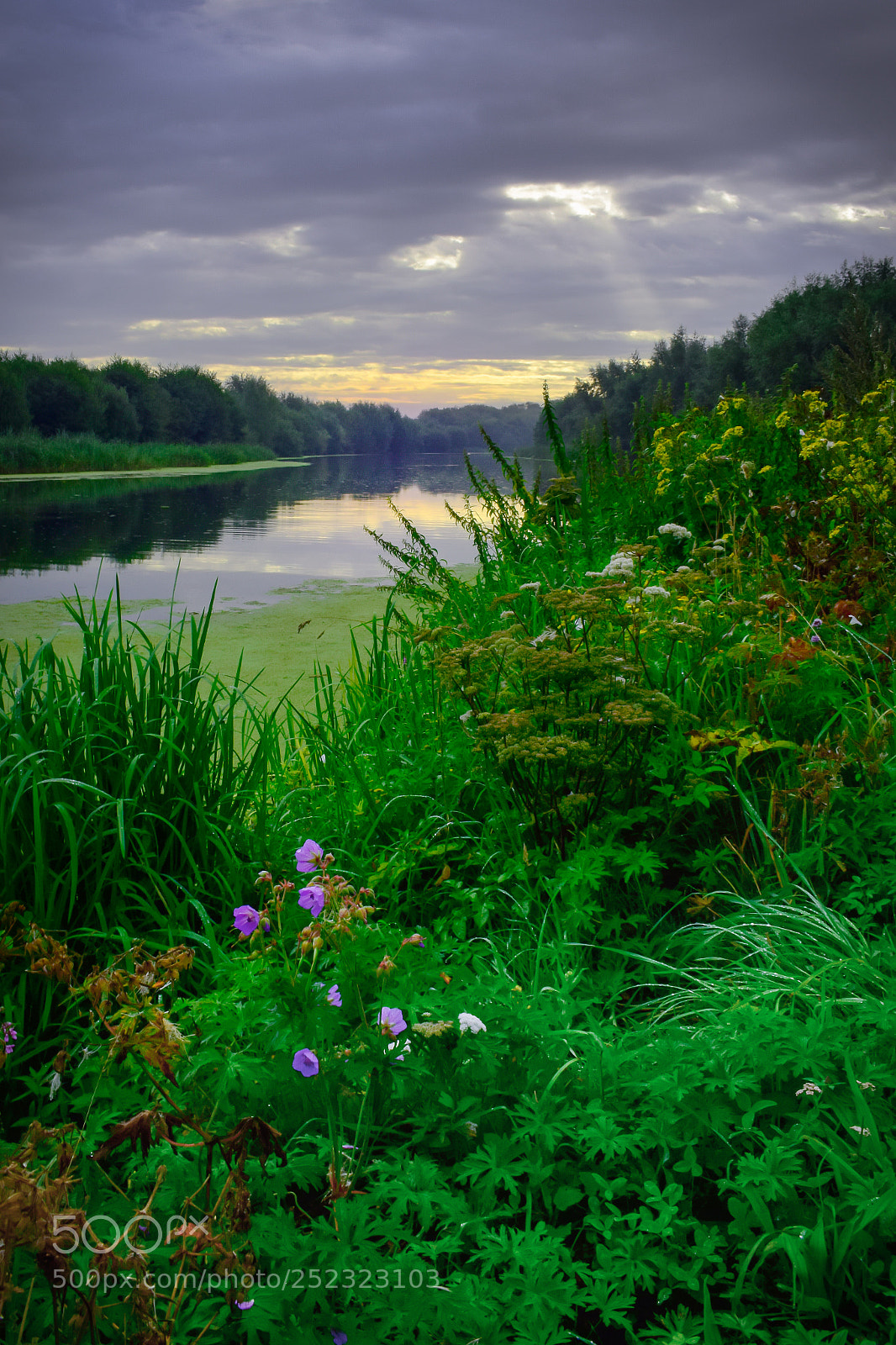 Nikon D3300 sample photo. Technicolor morning photography