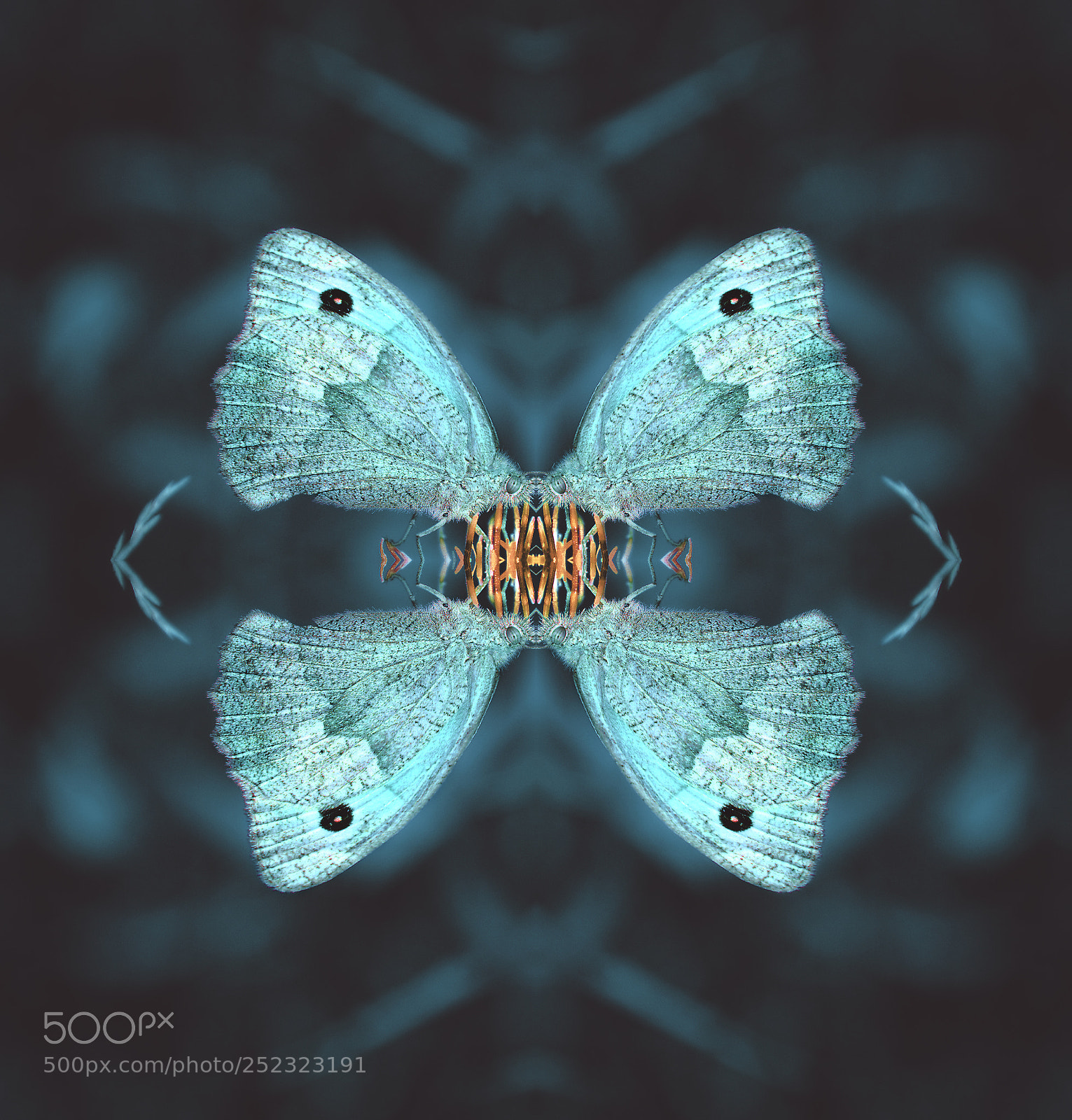 Nikon D3300 sample photo. Cyanotype symmetry photography