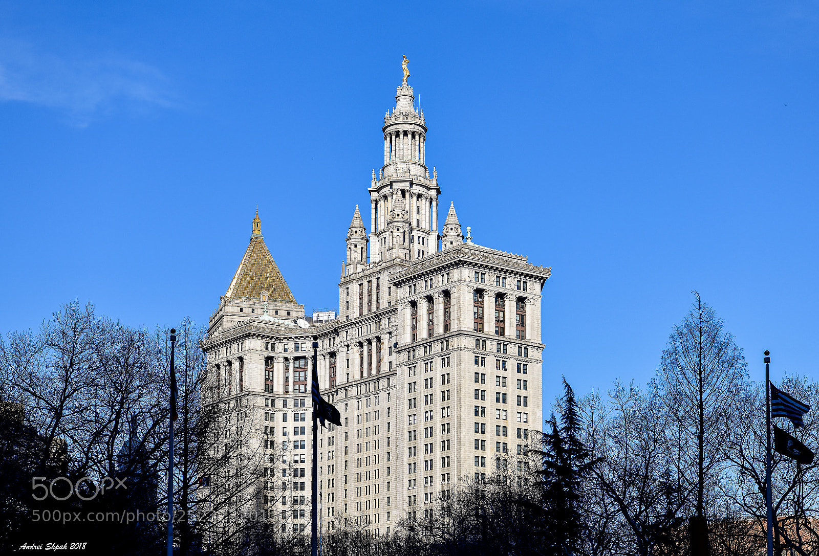 Nikon D850 sample photo. New york photography