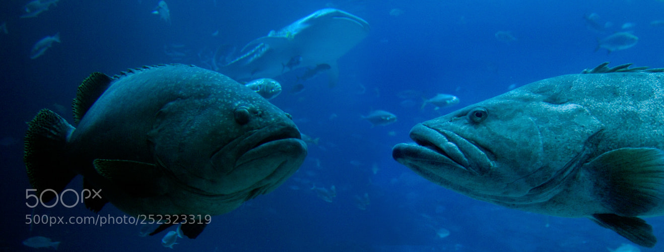 Canon EOS 10D sample photo. 3809.jpg photography