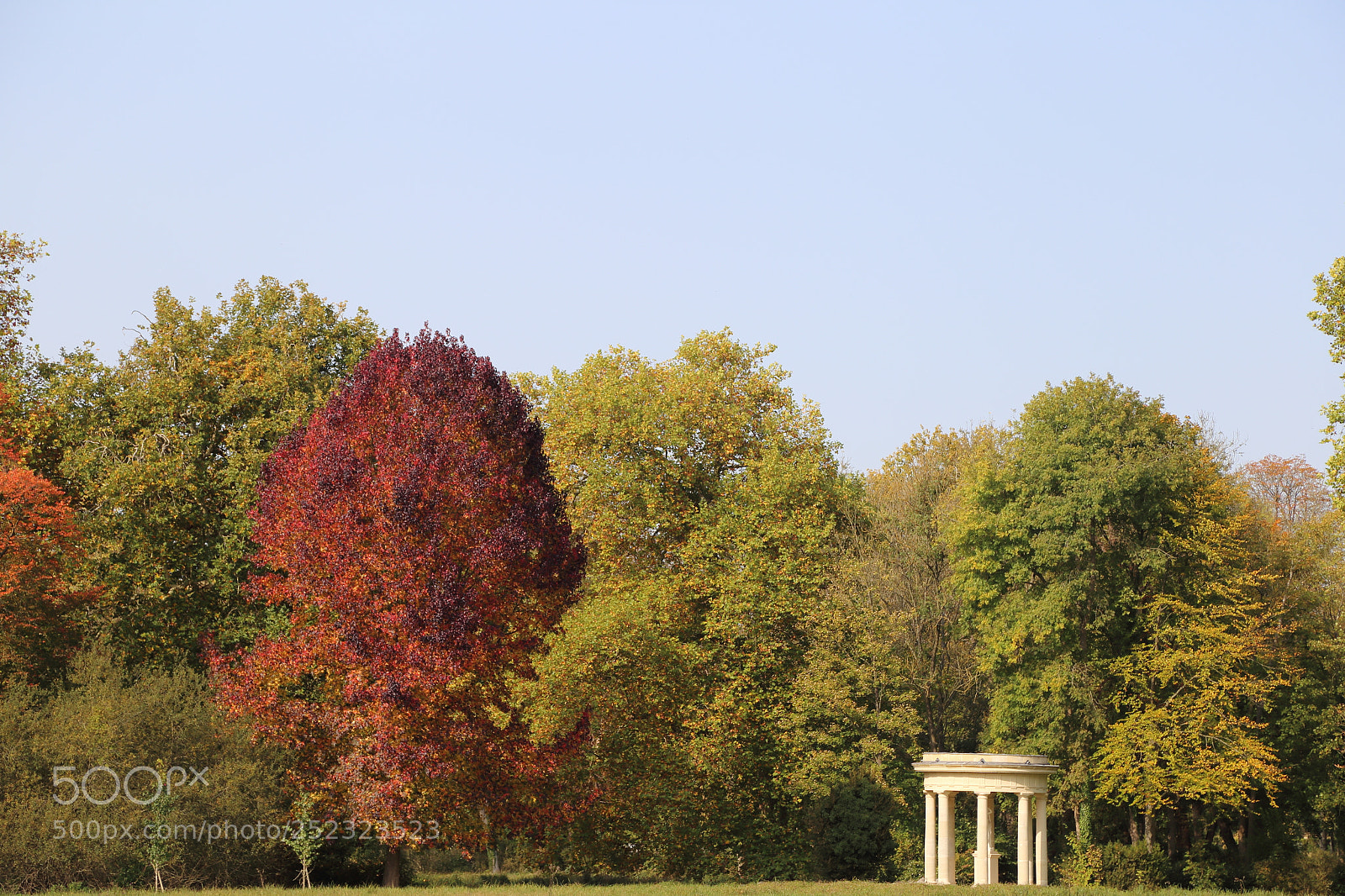 Canon EOS 6D + Canon EF 24-105mm F4L IS USM sample photo. Fall colours photography