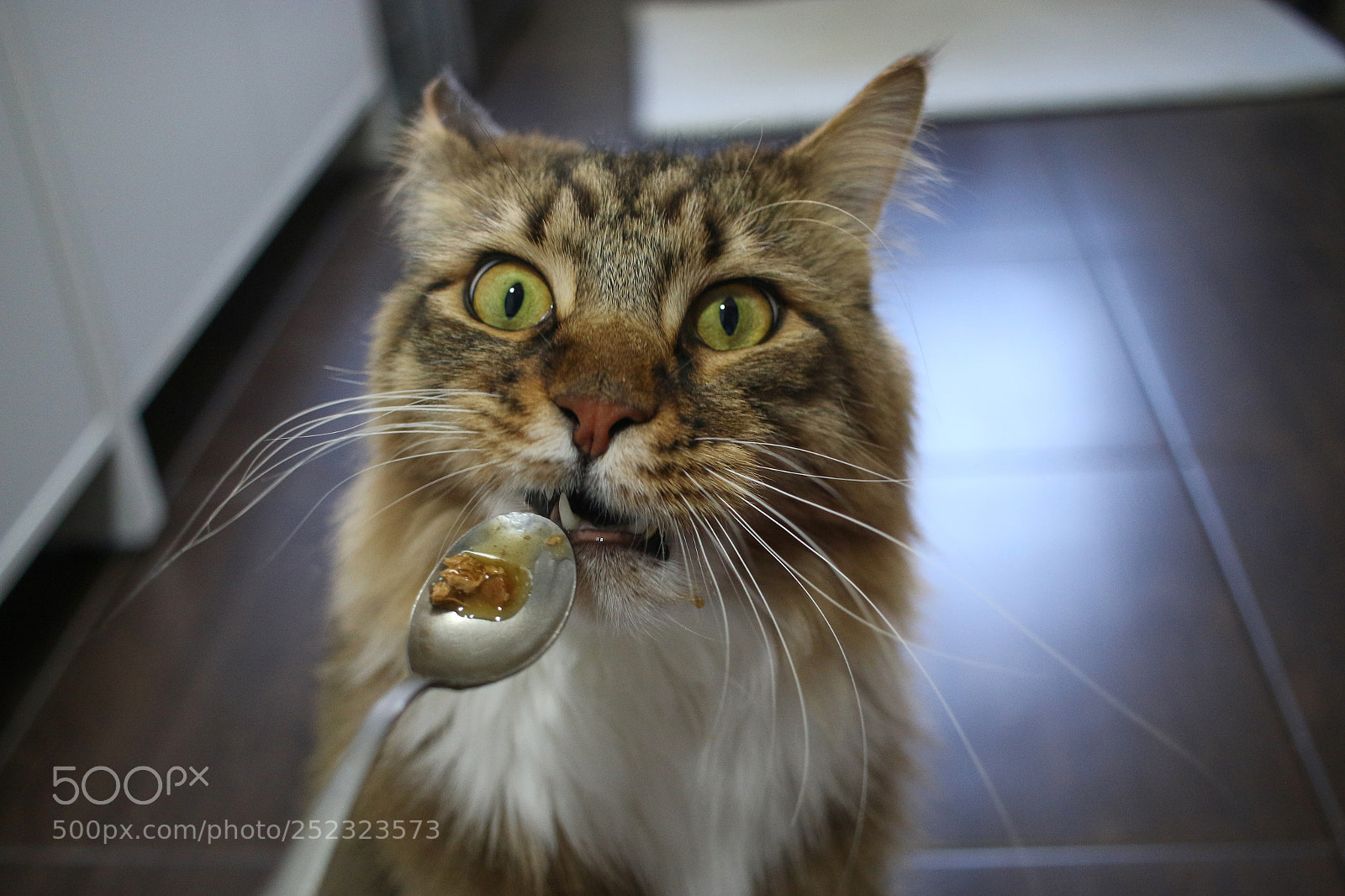 Canon EOS 70D sample photo. No more food? photography
