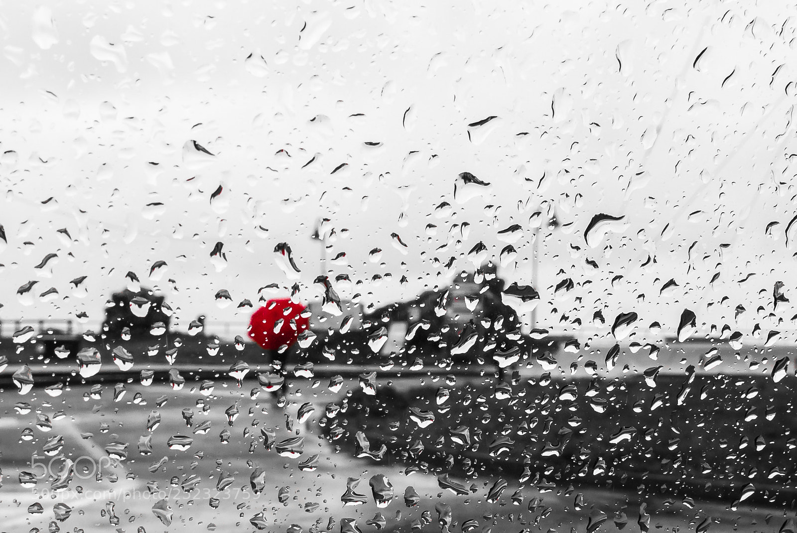 Panasonic Lumix DMC-LX100 sample photo. Red in the rain... photography