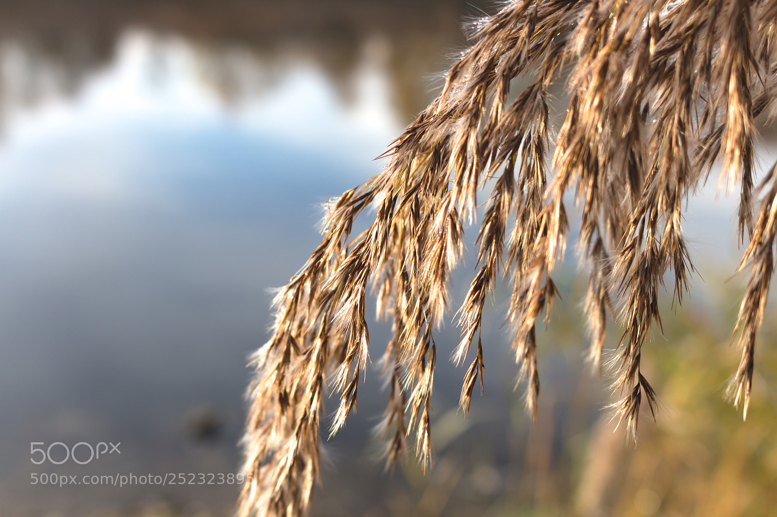 Canon EOS 700D (EOS Rebel T5i / EOS Kiss X7i) sample photo. Img photography