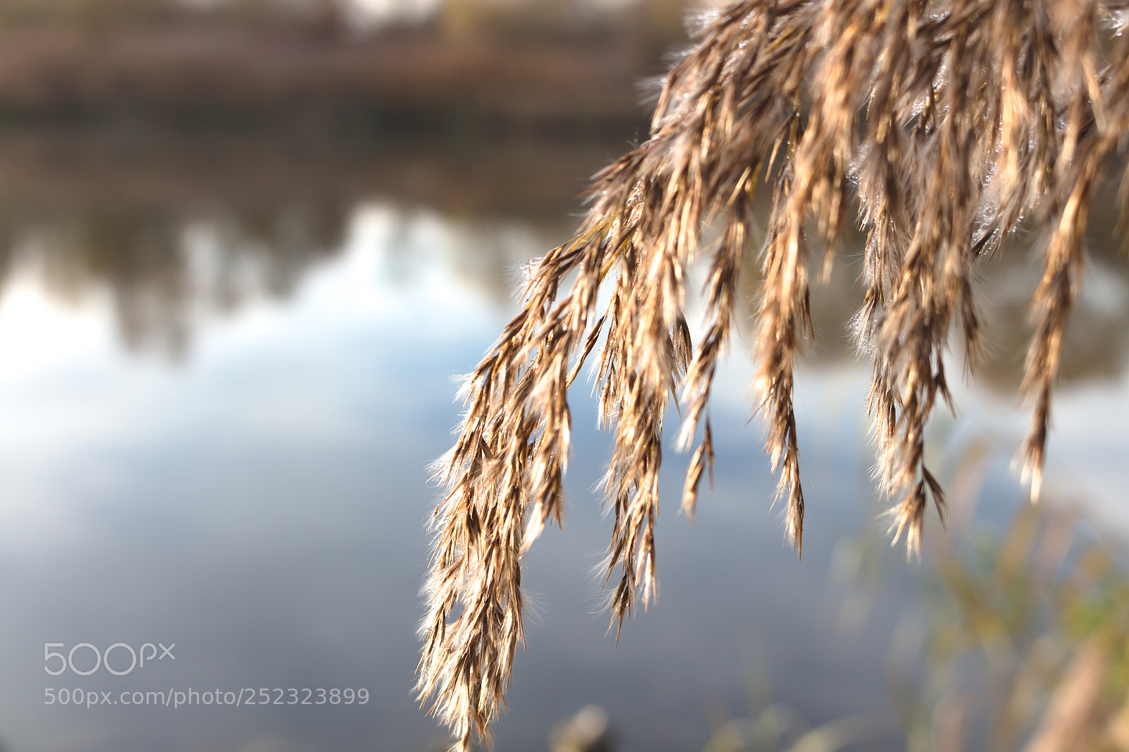 Canon EOS 700D (EOS Rebel T5i / EOS Kiss X7i) sample photo. Img photography